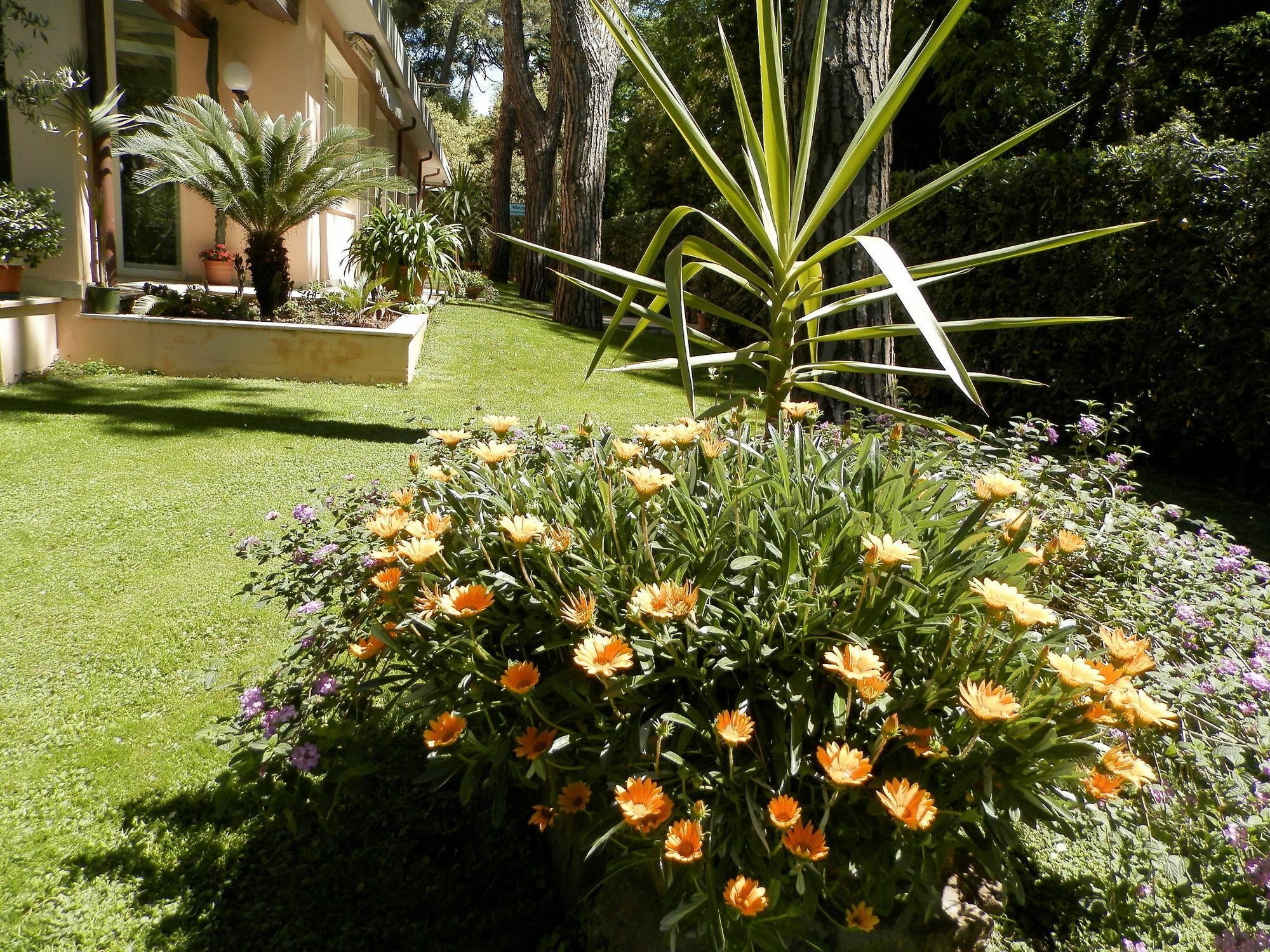 Hotel Mediterraneo Marina di Pietrasanta Exterior foto